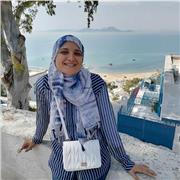 Informatique bureautique word Excel . Conception graphique photoshop illustrator CMS html php javascript algoBase des données sql